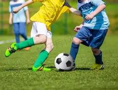 尤文新帅履,弗拉霍维奇,两年后回归,香港赛马会,香港马会,赛马活动,赛马资讯