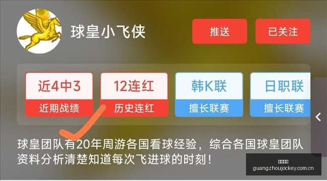 马尔代夫主,场强势,球进账解析,香港赛马会,香港马会,赛马活动,赛马资讯